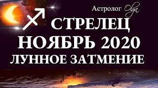 СТРЕЛЕЦ - НОЯБРЬ 2020 - ЛУННОЕ ЗАТМЕНИЕ в 7 доме. Астролог Olga