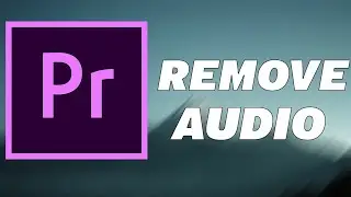 Remove Audio From Video in Adobe Premiere Pro Tutorial