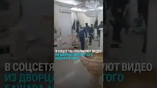 Как выглядел дворец Башара Асада