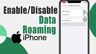 How to Enable/Disable Data Roaming on iPhone