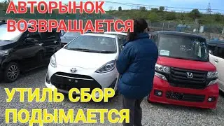 АВТОРЫНОК ВОЗВРАЩАЕТСЯ, УТИЛЬСБОР ПОДЫМАЕТСЯ, ВЛАДИВОСТОК ЗЕЛЁНЫЙ УГОЛ