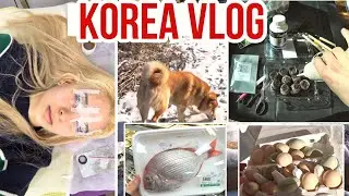 Реснички Сони и мои дачные дела ^^ KOREA VLOG