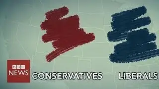 Where do you fit on the US political spectrum? - BBC News