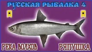 РР4 ВОЛХОВ ТРОФЕЙНАЯ РЯПУШКА / РУССКАЯ РЫБАЛКА 4 ВОЛХОВ РЯПУШКА ТРОФЕЙ / RF4 VOLKHOV TROPHY VENDACE