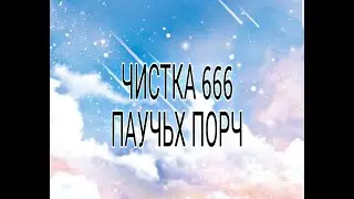 ЧИСТКА 666 ПАУЧЬИХ ПОРЧ.