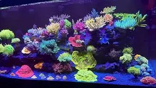 REEF3.0