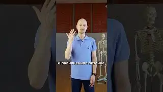 НЕ ЖДИ ОТ МОЗГА НИЧЕГО, пока не дашь ему это!😦