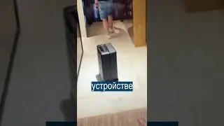 Наказали за езду на умном чемодане