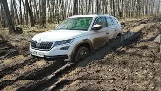 КТО ДОЕДЕТ до ДАЧИ?  AUDI A6 , ТИГУАН,  Skoda Kodiaq или Hyundai Santa Fe?