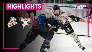 Nürnberg Ice Tigers - Kölner Haie | PENNY DEL | MAGENTA SPORT