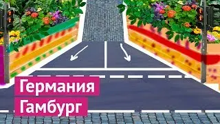 Германия, Гамбург: зебры, филармония и детские площадки