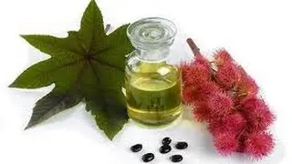 Castor Oil | Cure and Benefits