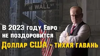 ДОЛЛАР США - ТИХАЯ ГАВАНЬ. ЕВРО В 2023 ГОДУ НЕ ПОЗДОРОВИТСЯ