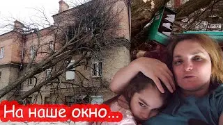 VLOG На наш дом упало огромное дерево