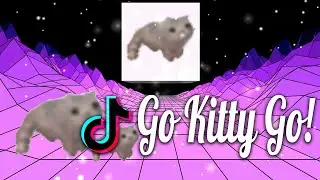 Go Kitty Go! Top TikTok Songs This Week