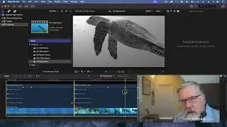 How to Paste Effects and Adjust Keyframes in Apple Final Cut Pro