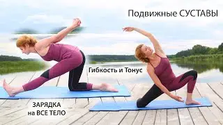 Здоровая ПОДВИЖНОСТЬ / ЗАРЯДКА для ГИБКОСТИ и ТОНУСА на ВСЕ ТЕЛО