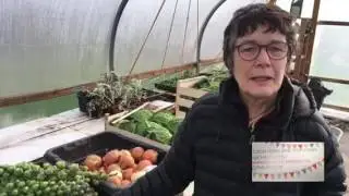 Hexhamtv interviews Christine of Go Local Food