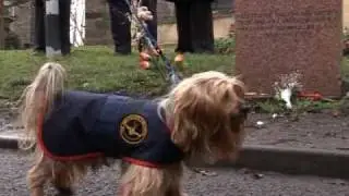 Greyfriars Bobby tribute