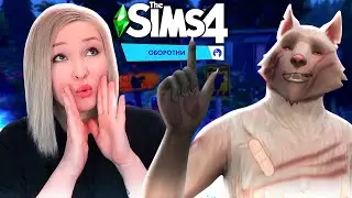 БЕСЯЧИЙ ГРЕГ И БОРЬБА ЗА АЛЬФУ! [Прохождение The Sims 4: Оборотни] №4