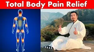 Say Goodbye to Pain: Tai Chi Exercise For Full Body Pain Relief  |  Taichi Zidong