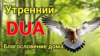 утренний дуа. дуа каждое утро