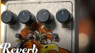 Electro-Harmonix Cockfight | Reverb Demo Video