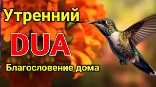 утренний дуа. дуа каждое утро