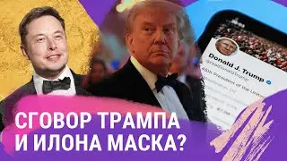 Почему Трамп обязательно вернется в Twitter и в чем не прав Илон Маск