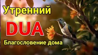 утренний дуа. дуа каждое утро