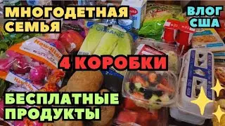 БЕСПЛАТНЫЕ ПРОДУКТЫ В АМЕРИКЕ Нам Дали 4 Коробки Многодетная семья