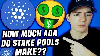 How much do Cardano stake pool owners/ operators make? (SPOs)