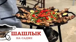 ШАШЛЫК С ОВОЩАМИ НА СКОВОРОДЕ / ГОТОВИМ НА НОВОМ САДЖЕ ИЗ ДИСКА БОРОНЫ