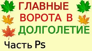 Секрет планирования долгожительства и здоровья. Горизонт старения Цикл Секреты долголетия Часть P.s.