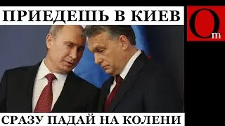 Мясо закончилось? Друг Москвы Орбан прибыл в Киев умолять прекратить огонь