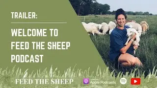 Trailer: Welcome to Feed the Sheep Podcast