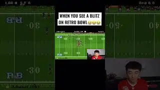 When You See A Blitz On Retro Bowl….