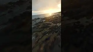 Lost In Paradise 🏖️ | Cinematic FPV Drone Flies On Beach (🎥: IG / silvio_fpv) #drone #beach