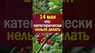 14 мая народный праздник день Еремея Запашника. Что нельзя делать. Народные приметы традиции и