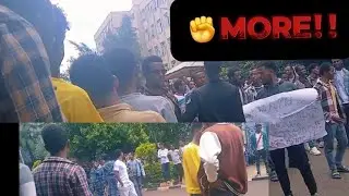 🚫Students of Bahirdar University⁉️⁉️ ይገርማል‼️      🔞🔞