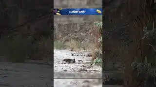 Казалось, этого парня уже не спасти 😲🔥🌊