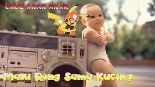 Lagu Anak Malu Dong Sama kucing Baby Dance Songs Meong Meong