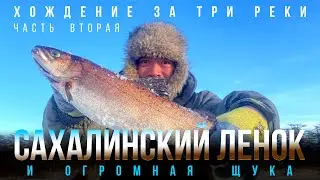 Сахалинский ленок и огромная щука!!! Часть #2 // Huge pike!!! Part #2 // おおかわはぎ // 거대한 파이크