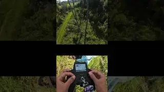 One With Nature 🍃 | FPV Drone Freestyle (🎥: IG / rippin_fpv)