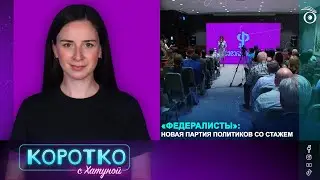 «Федералисты»: новая партия политиков со стажем