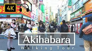 Tokyo Akihabara /Resumption of pedestrian paradise /Anime shop /Otaku /Tokyo walk (October 2021) 4K