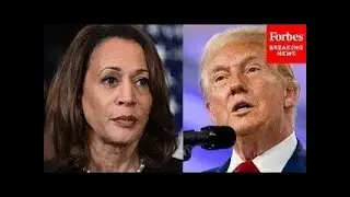 This Is What Kamala Harris Must Do In Debate With Trump Because 'The Honeymoon Is Over': Pollster