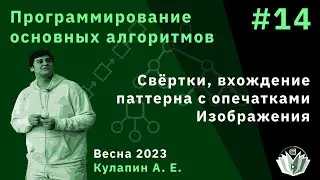 Программирование основных алгоритмов 14. Свёртки, вхождение паттерна с опечатками. Изображения