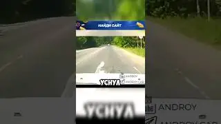 Уснул за рулём, прямо на дороге.