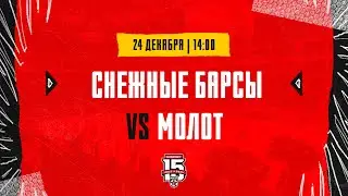 24.12.2023. «Снежные Барсы» – МХК «Молот» | (OLIMPBET МХЛ 23/24) – Прямая трансляция